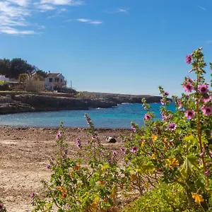 Arbocers , Ciutadella (Menorca) España